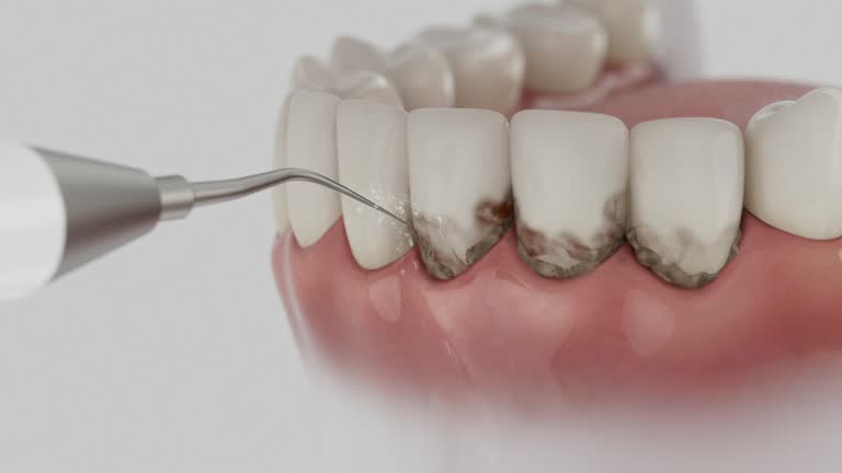 Reliable Dental contractor in Pembroke Pines, FL by Dentist Open Now